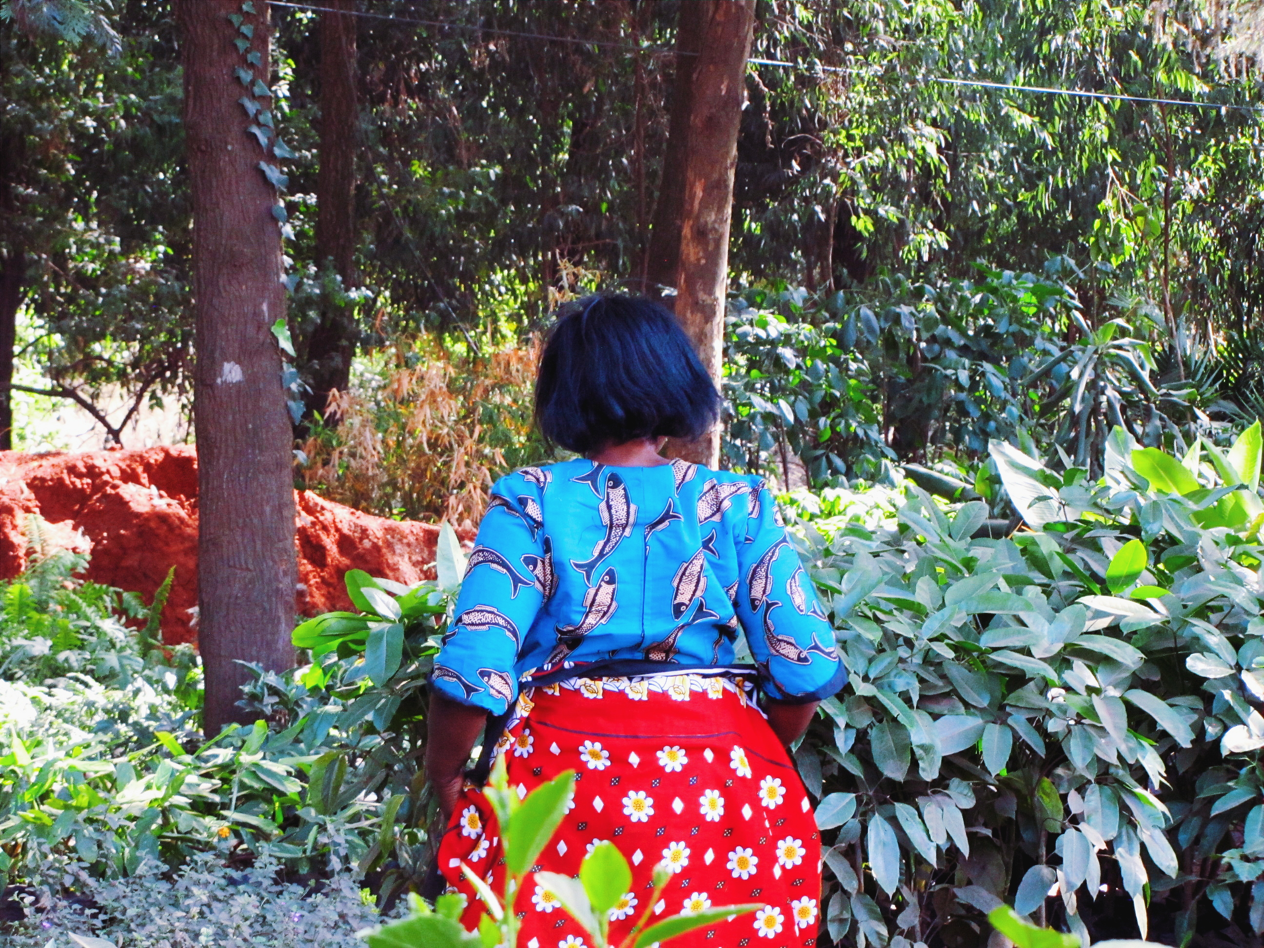 2017-01-11 05.01.07 1.jpg