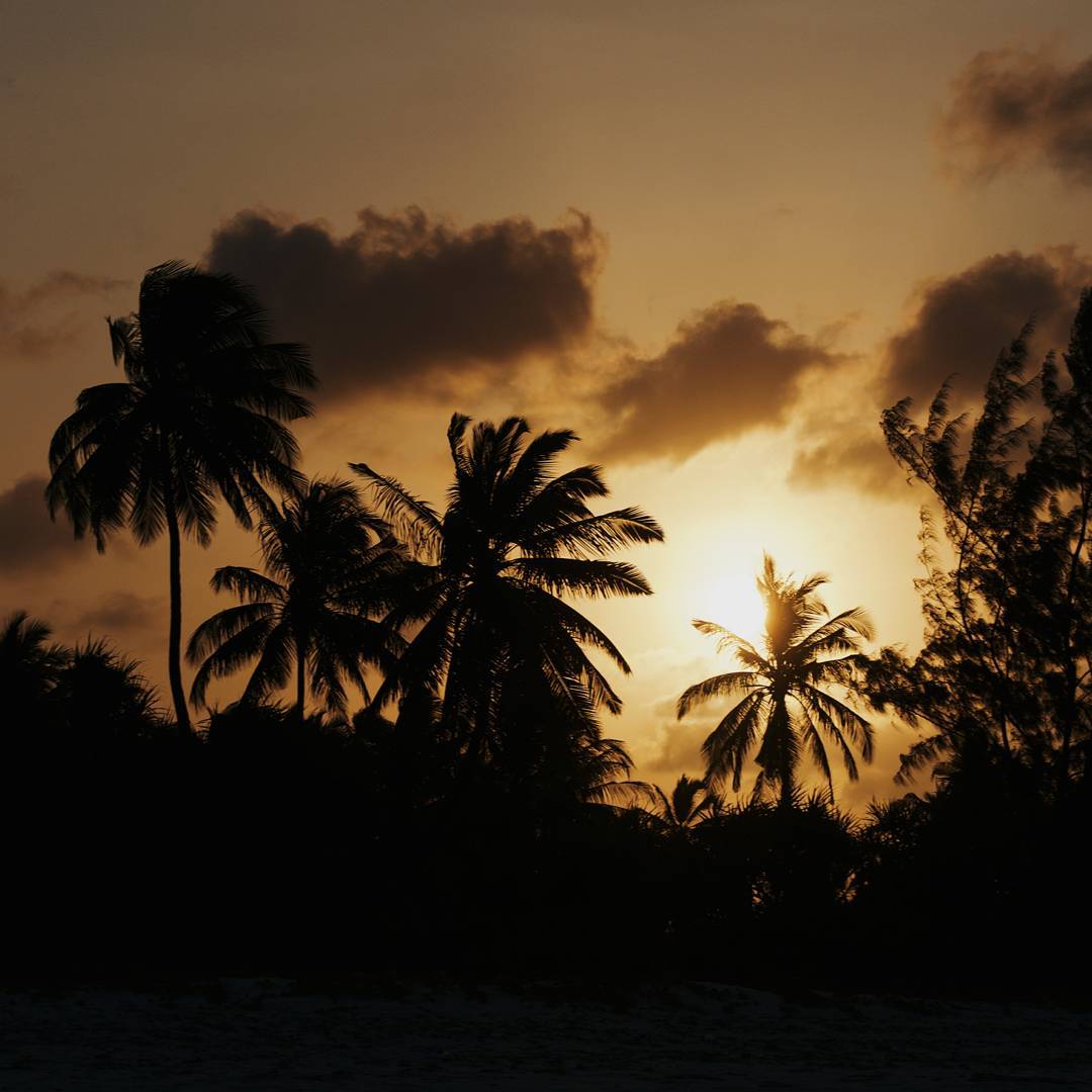 21294582_120996555226499_2098434056327790592_n (1).jpg