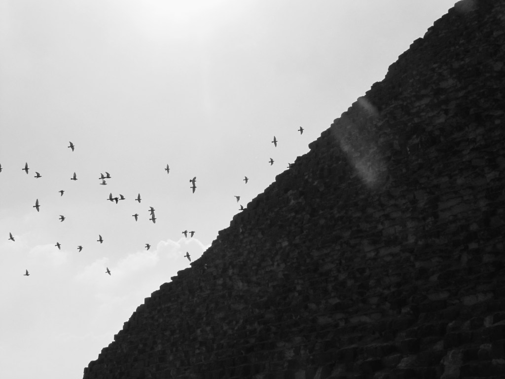 Your Mindset Sets You Up For&nbsp;Life.